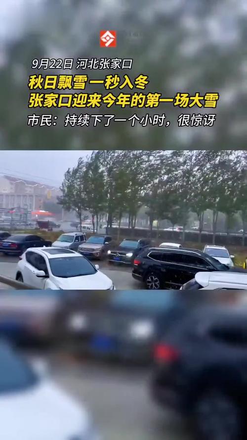 张家口下雪是真的吗河北张家口下雪了吗你对张家口今天下雪怎么看